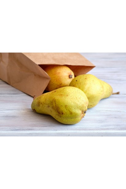 Груша Милена - великі плоди товарної якості